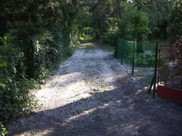A Szondi utca